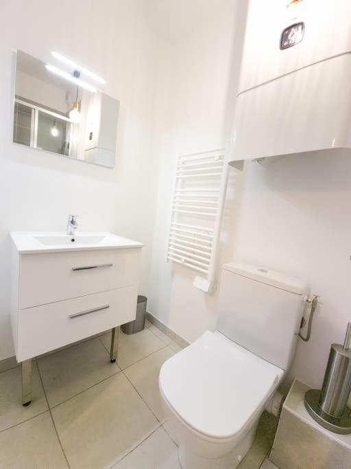 Apartament Studio Calme Et Lumineux - Ascenceur - Gare -Metro Tuluza Zewnętrze zdjęcie