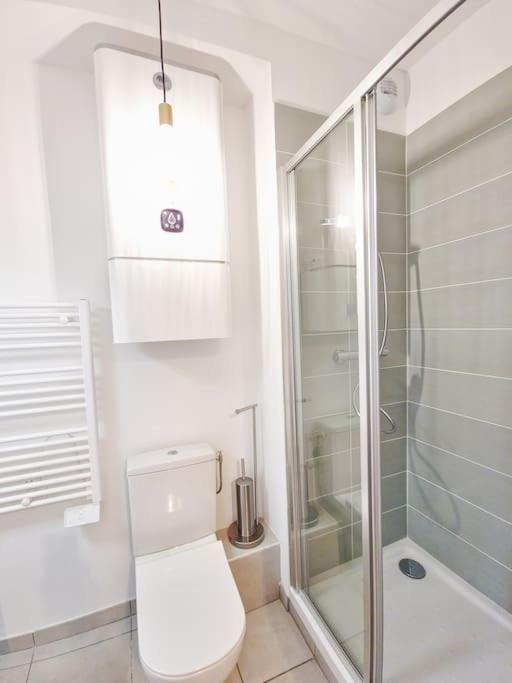 Apartament Studio Calme Et Lumineux - Ascenceur - Gare -Metro Tuluza Zewnętrze zdjęcie